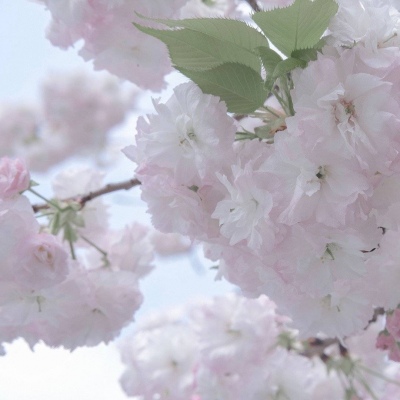 仪陇FurryQQ群介绍